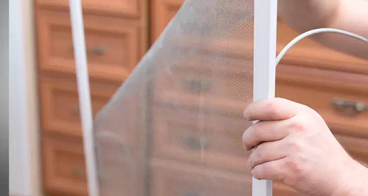 Privacy Mesh Screen Door Installation in Vero Beach, FL